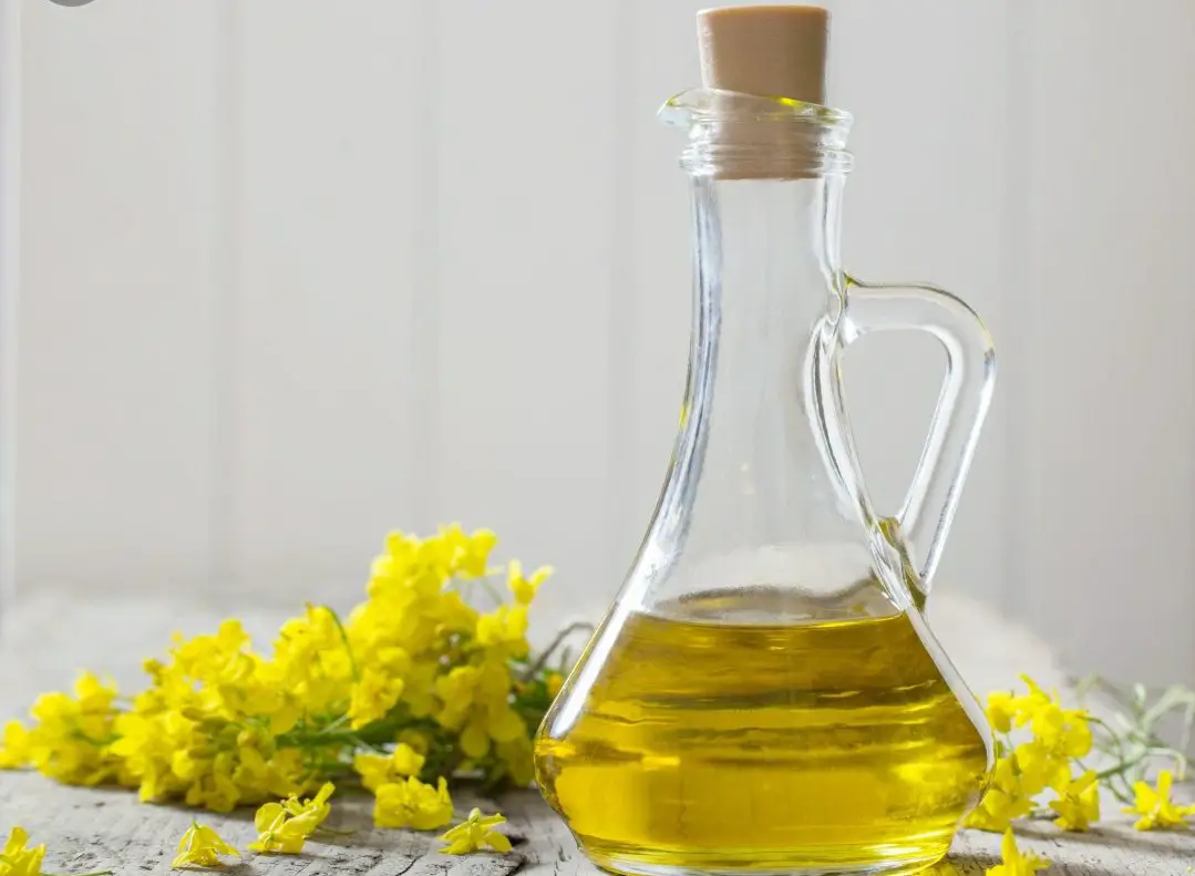 Why Is Canola Oil Banned In Europe? - Kylon Powell